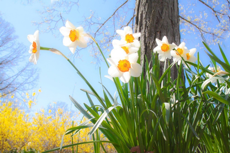 prepare home for spring