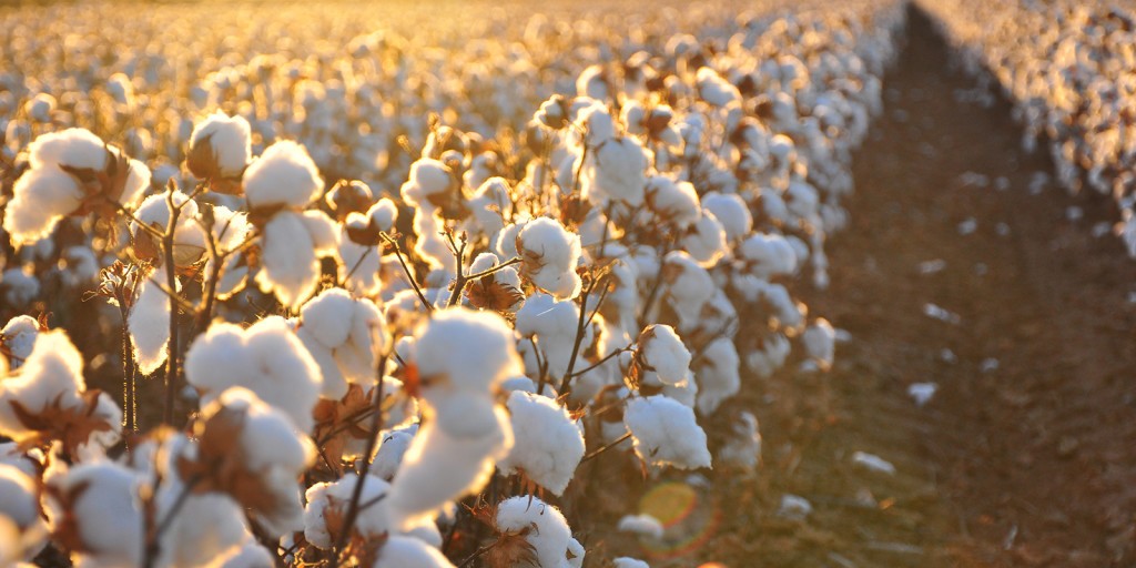 how to make your wardrobe eco friendly